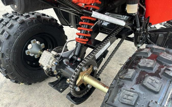 2026 Can-Am DS 250