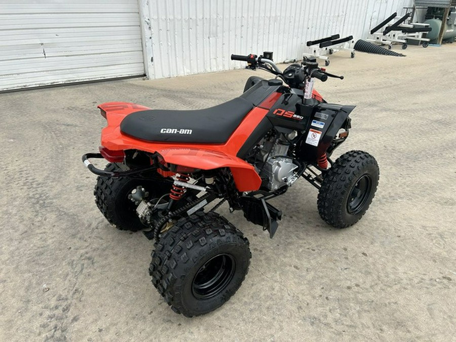 2026 Can-Am DS 250