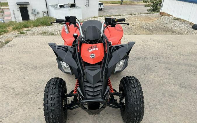 2026 Can-Am DS 250