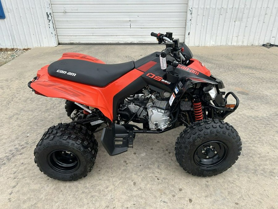 2026 Can-Am DS 250