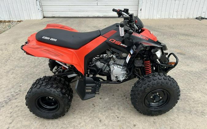 2026 Can-Am DS 250