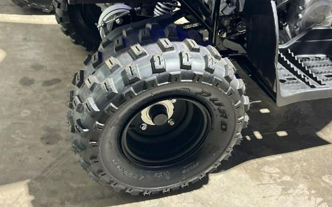 2026 Yamaha Raptor 110