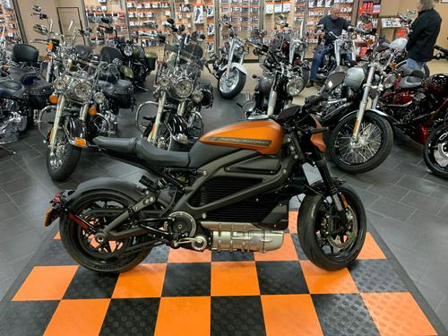 2020 Harley-Davidson LiveWire First Ride