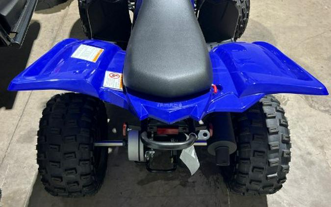 2026 Yamaha Raptor 110