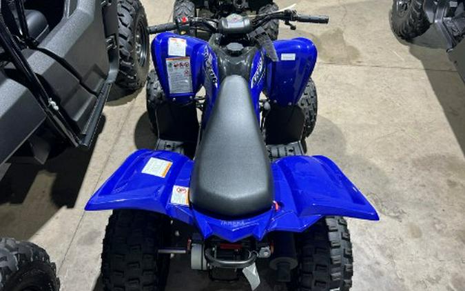 2026 Yamaha Raptor 110