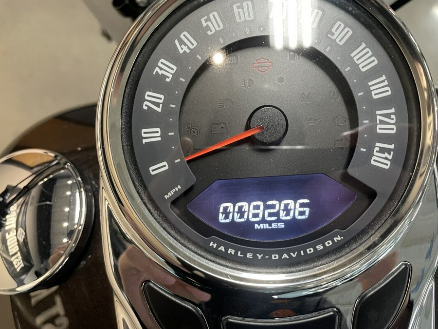 2018 Harley-Davidson® Deluxe Silver Fortune/Sumatra Brown