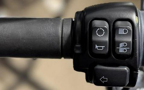 2023 Harley-Davidson® FXST - Softail® Standard