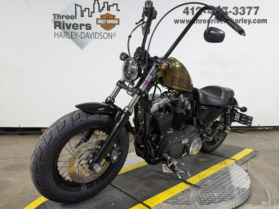 2013 Harley-Davidson Forty-Eight Hard Candy Coloma Gold Flake