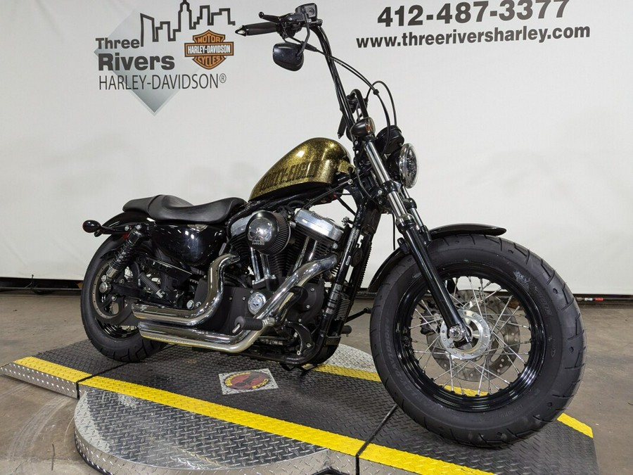 2013 Harley-Davidson Forty-Eight Hard Candy Coloma Gold Flake