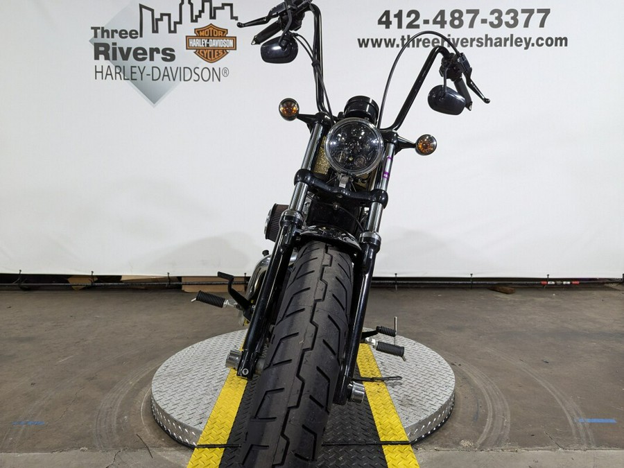 2013 Harley-Davidson Forty-Eight Hard Candy Coloma Gold Flake