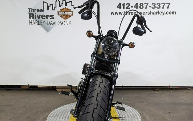 2013 Harley-Davidson Forty-Eight Hard Candy Coloma Gold Flake