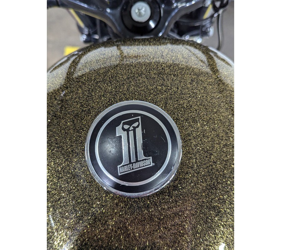 2013 Harley-Davidson Forty-Eight Hard Candy Coloma Gold Flake