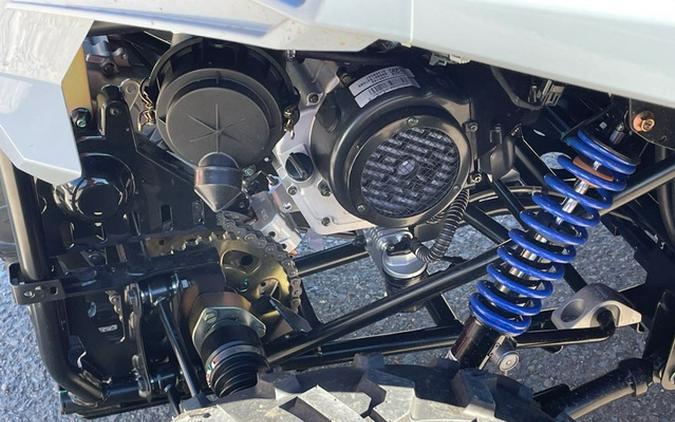2026 Polaris RZR 200 EFI