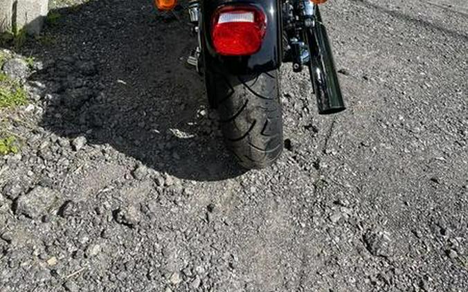 2009 Harley-Davidson® FXDL - Dyna® Low Rider®