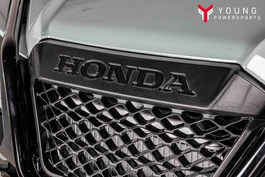 2026 Honda Pioneer 520