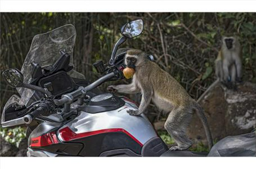 2024 Ducati Multistrada V4 Rally