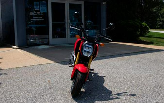 2025 Honda Grom