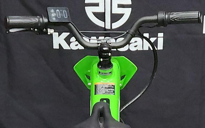 2023 Kawasaki Elektrode