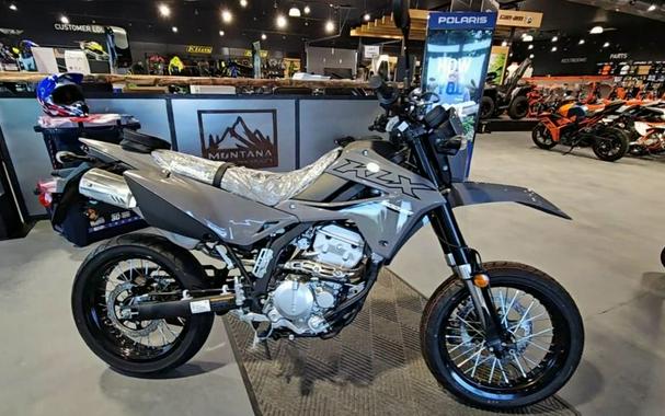 2024 Kawasaki KLX®300SM