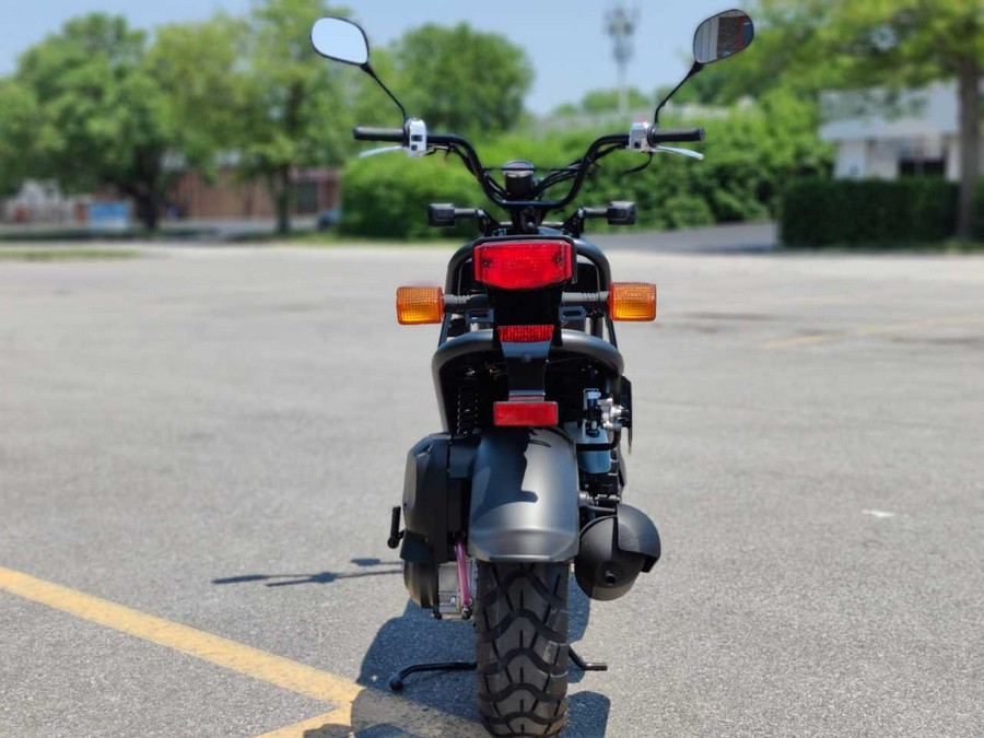 2024 Honda Ruckus Base