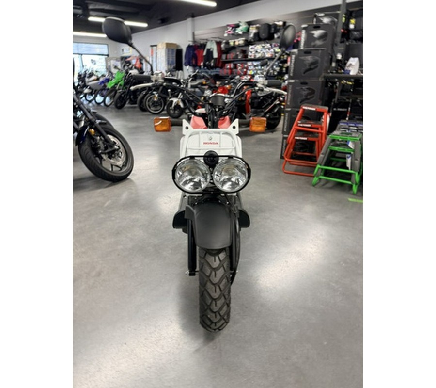 2019 Honda Ruckus