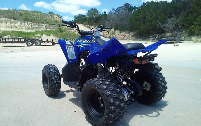 2026 Yamaha Raptor 110
