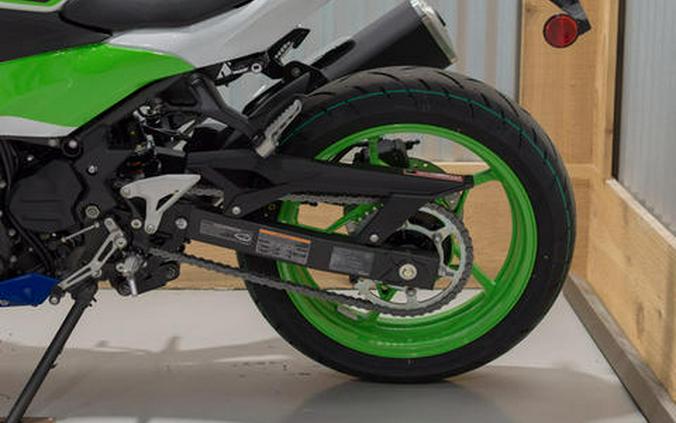 2024 Kawasaki Ninja® 500 SE 40th Anniversary Edition ABS