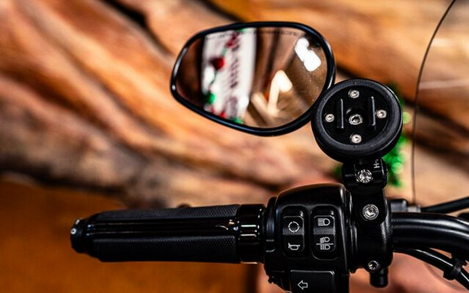 2022 Harley-Davidson Forty-Eight