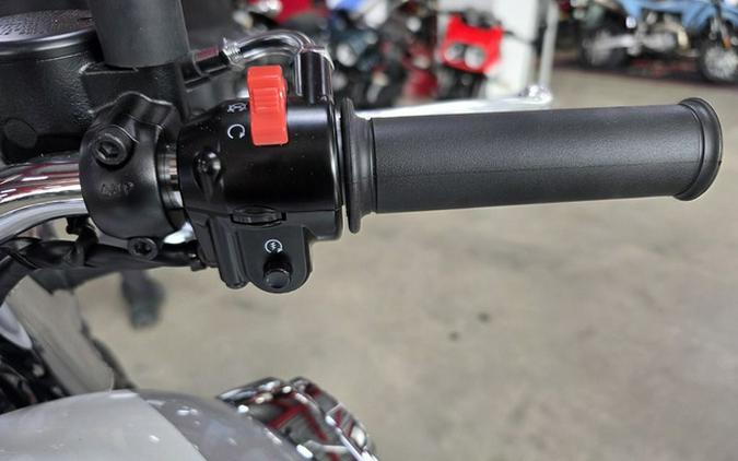 2026 Kawasaki W 800 ABS