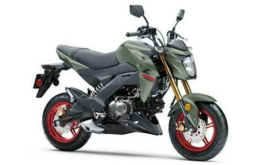 New 2023 Kawasaki Z125 PRO