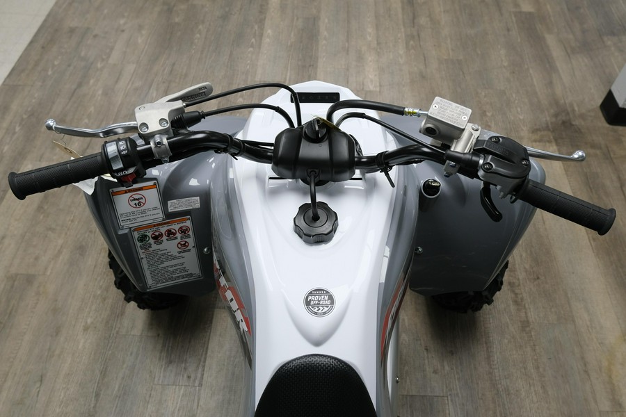 2026 YAMAHA RAPTOR 700