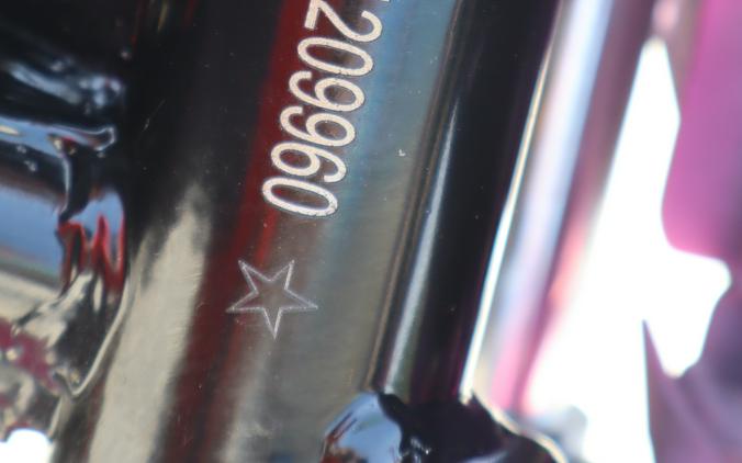 2026 Denago Powersports MX
