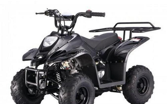 Tao Motors 110 Boulder