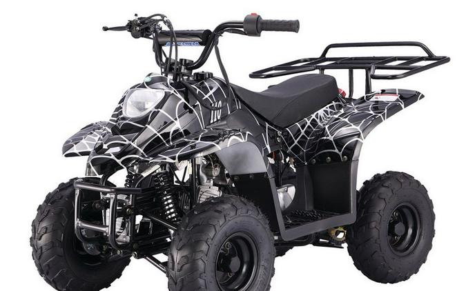 Tao Motors 110 Boulder