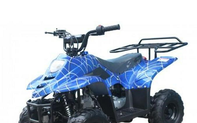 Tao Motors 110 Boulder