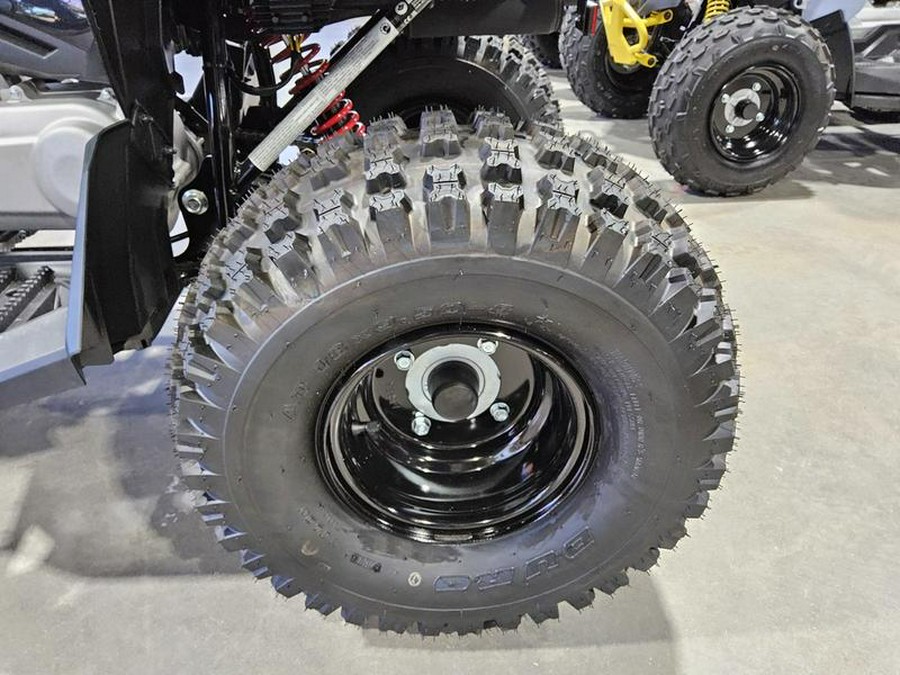 2026 Can-Am® Renegade 110 EFI