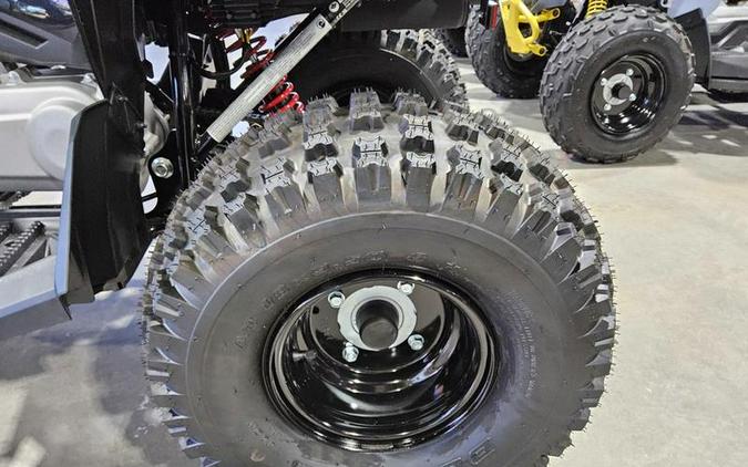 2026 Can-Am® Renegade 110 EFI