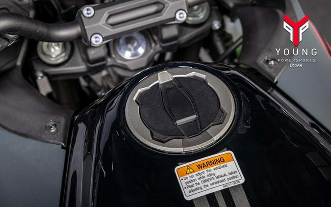 2024 Kawasaki Versys 650 LT ABS
