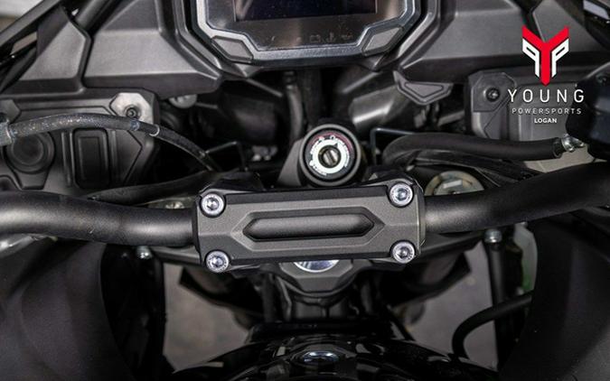 2024 Kawasaki Versys 650 LT ABS