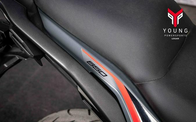 2024 Kawasaki Versys 650 LT ABS