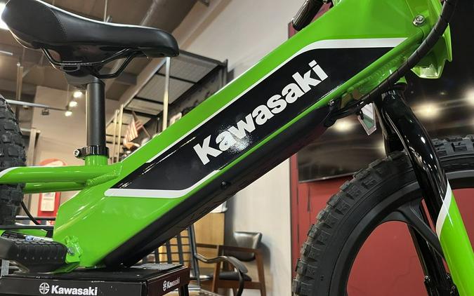 2023 Kawasaki Elektrode™