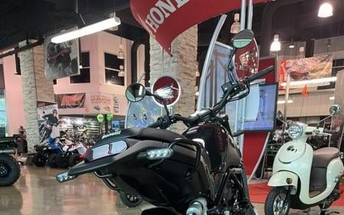 2022 Benelli Leoncino 500