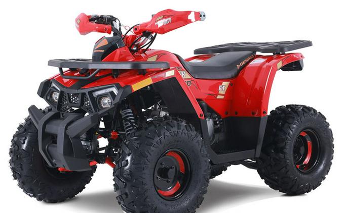 2026 Denago Powersports Mudhawk 10FI