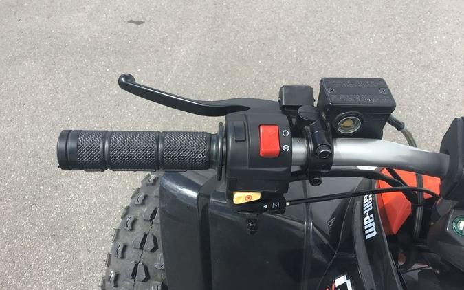 2018 Can-Am® DS 90™ X™