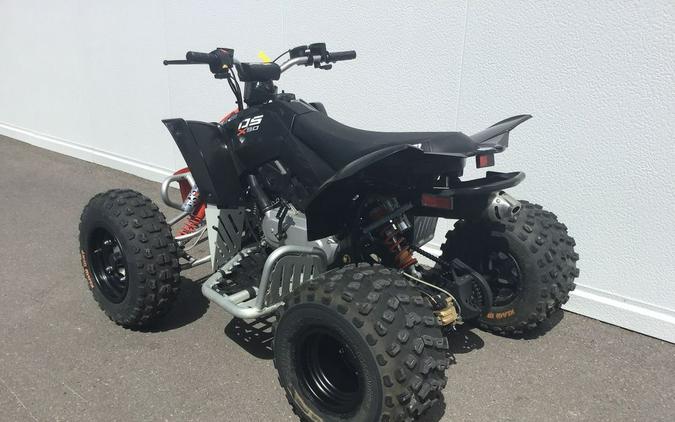 2018 Can-Am® DS 90™ X™