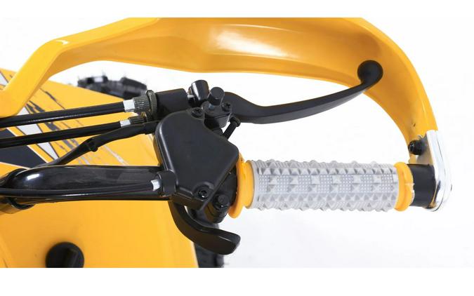 2026 Denago Powersports Trailhawk 10FI