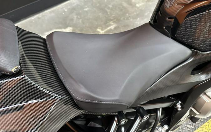 2021 BMW S 1000 R Black Storm Metallic