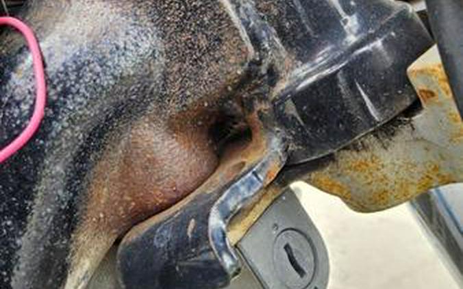 2006 Honda® VTX 1300s