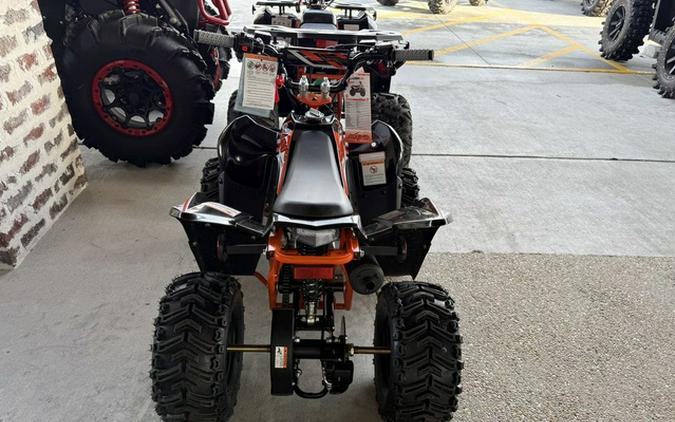 2026 Kayo Fox / Storm 70