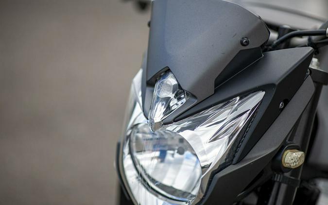 2013 Yamaha FZ 8
